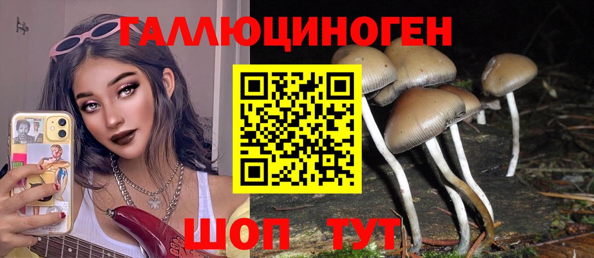 наркота  Псилоцибиновые грибы MAGIC MUSHROOMS  Вход с VPN  Мариинск 